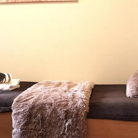 Apartment Luka